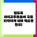 밥도둑 꽈리고추볶음에 국물 자작하게 비벼 먹으면 천국!