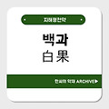 백과(白果)