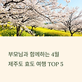 4월 제주 효도 여행, 부모님 모시고 꼭 가봐야 할 곳 TOP5