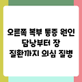 오른쪽 복부 통증 원인 담낭부터 장 질환까지 의심 질병