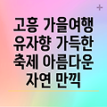 고흥 가을 여행: 유자향 가득한 축제와 아름다운 자연을 만끽하다