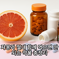 자몽과 절대 함께 먹으면 안 되는 약물 총정리: 고혈압약·고지혈증약·수면제 주의!
