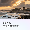 경주 엘라포니시 숙소 추천 및 감포 펜션 후기