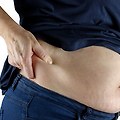 내장지방 빼는 법 완전 정복 (자가진단, 식단, 운동, 생활습관까지)”