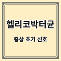 헬리코박터균 증상 초기 신호 – 절대 놓치면 안 되는 경고