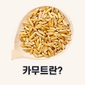 카무트 효소 효능 및 추천, 먹는법?