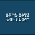 블루 카본 흡수량을 높이는 방법이란?