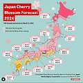 2024년 일본 벗꽃 최신 예보: 최적의 시기와 명소 추천