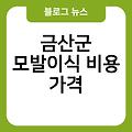 금산군 모발이식 비용가격 병원추천 금산군비절개모발이식 금산군정수리모발이식후기 헤어라인모발이식