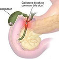 자동차검사기간조회 방법과 주의사항