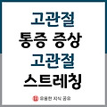 고관절 통증 증상 고관절 스트레칭