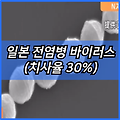 일본 전염병 바이러스 | stss 독성 쇼크 증후군 | 특징 | 연쇄상구균 증상 | 슈퍼 박테리아 성홍열 | 치사율30% | 예방방법 | 일본여행 | 관련주