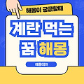 계란 먹는 꿈 해몽 [계란 꿈, 날계란 먹는 꿈, 계란 삶는 꿈 등]