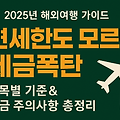 2025 해외여행 면세한도 모르면 세금폭탄 맞는다
