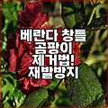 베란다 창틀 곰팡이 제거법! 재발방지