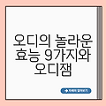 오디의 놀라운 효능 9가지와 오디잼