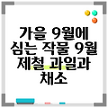 가을 9월에 심는 작물 9월 제철 과일과 채소
