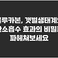 블루카본, 갯벌생태계와 탄소흡수 효과의 비밀을 파헤쳐보세요