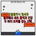 오랄클리닉 청사과  블루베리 세트 품격과 건강 두 마리 토끼를 잡는 선택