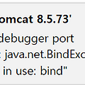 java.net.BindException "Address alredy in use: bind" 해결/특정 포트 죽이는 방법