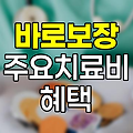 암보험 2대질병보험 바로보장 주요치료비 혜택