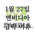 1월 27일 엔비디아 주가 급락 이유