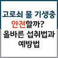 고로쇠 물, 기생충 안전할까? 올바른 섭취법과 예방법