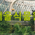 서울식물원 : 도심 속에 존재하는 아름다운 녹색의 물결