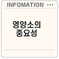 필수 영양소 종류와 효능 무엇이 중요한가