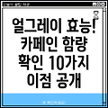 얼그레이 10가지 효능 & 카페인 함량 주의사항