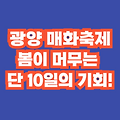 🌸 2025 광양 매화축제 일정 공개! 놓치면 후회할 봄나들이 명소