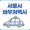 서울시 바우처택시 사업내용 신청대상 이용방법