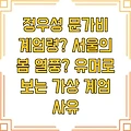 정우성 문가비 계엄령? 서울의 봄 열풍? 유머로 보는 가상 계엄 사유