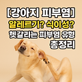 [강아지피부염] 알레르기? 식이성? 헷갈리는 피부염 유형 총정리