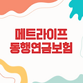 『메트라이프 동행연금보험, 안정적인 미래를 위한 선택』