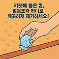 카펫에 붙은 껌, 얼음조각 하나로 깨끗하게 제거하세요!