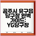 공주시 유구읍 당구장 완벽 가이드: YG당구장