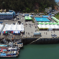 서천 자연산 광어 도미 축제 : 향토 해산물과 문화의 향연
