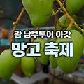 괌 2024 아갓 망고 페스티벌 기간 및 장소