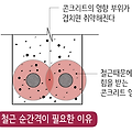 배근 기초-철근의 순간격