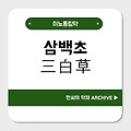 삼백초(三白草)