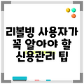 리볼빙 사용자가 꼭 알아야 할 신용관리 팁