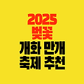 2025 벚꽃 개화 만개 시기 Ι 봄나들이 벚꽃 축제 명소 추천