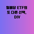 월배당 ETF의 또 다른 선택, DIV