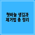 혓바늘 생김과 제거법 총 정리