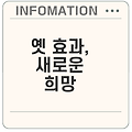 어성초와 탈모 치료 비법은 무엇인가요