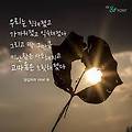미워하면서도 익숙해지고, 길들여져 혼란스럽다면