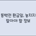 동백전 환급일, 놓치지 말아야 할 정보