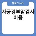 난소낭종수술 여성의원 요실금치료방법 시험관아기성공률 임신가능성 자궁경부암검사비용