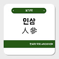 인삼(人參)